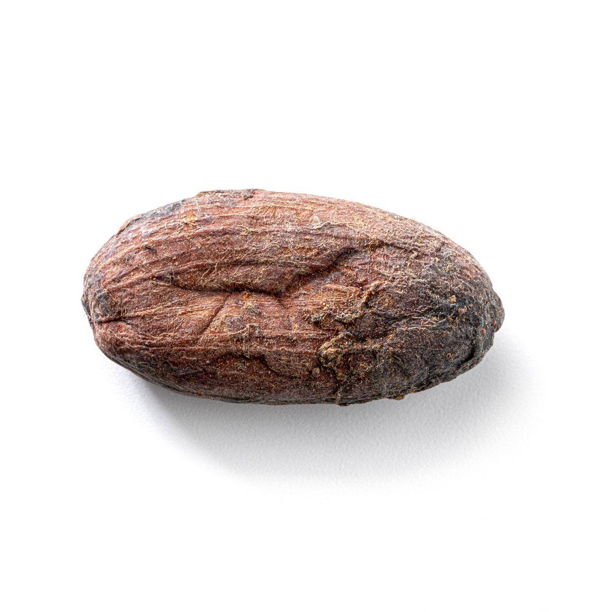 madagascar cocoa bean
