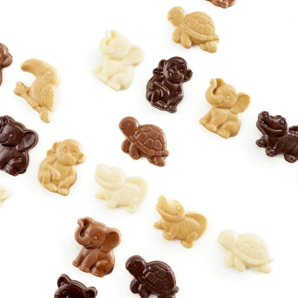 moule chocolats animaux de la jungle pâques 2026 cacao barry