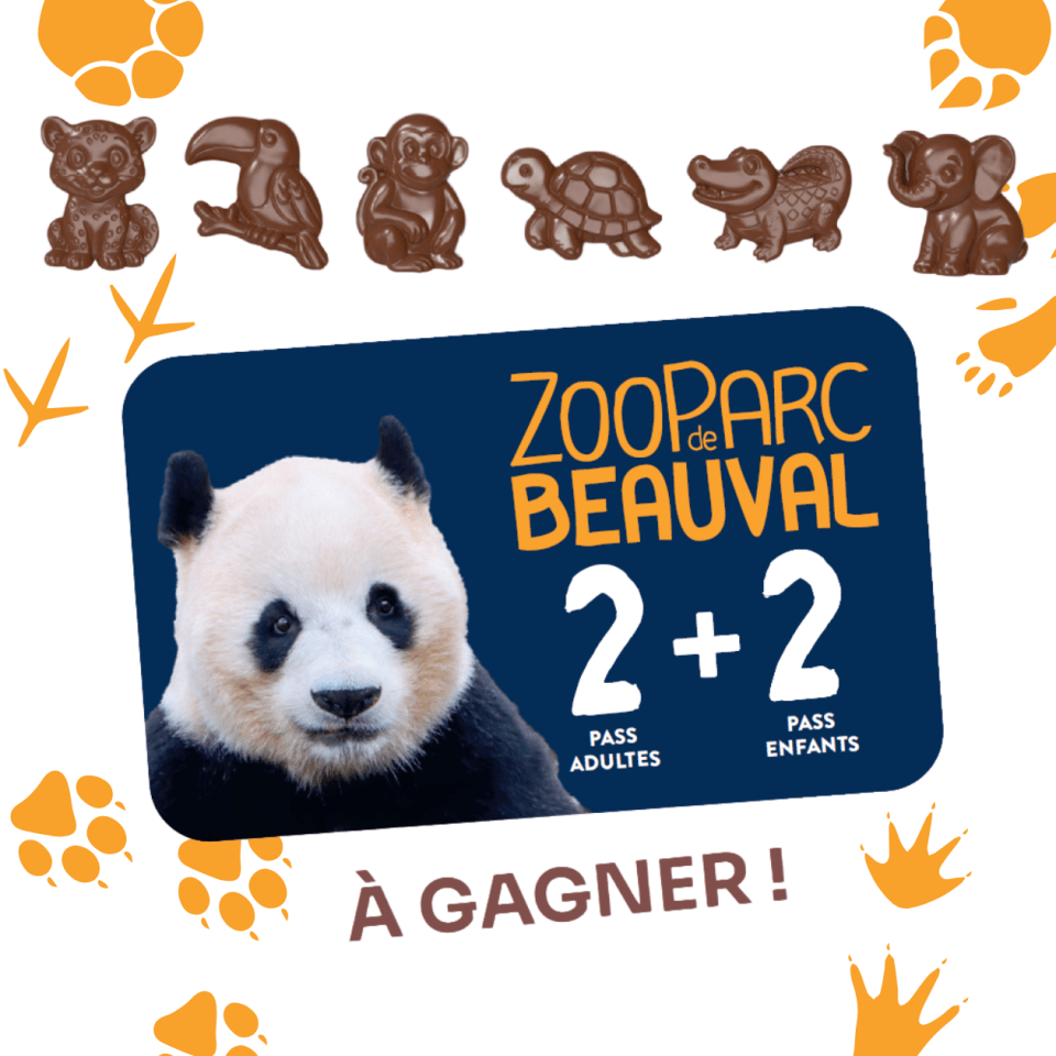 jeu concours animaux jungle friture chocolat cacao barry