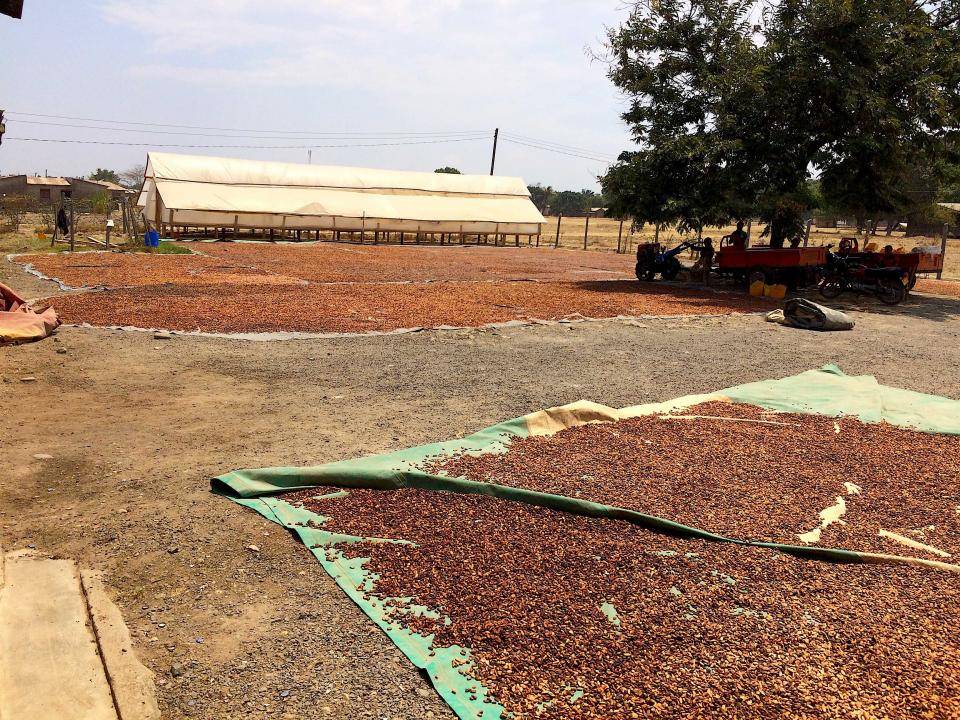 Tanzania. Photo: Thomas Coly Tanzania. Photo: Thomas Coly
