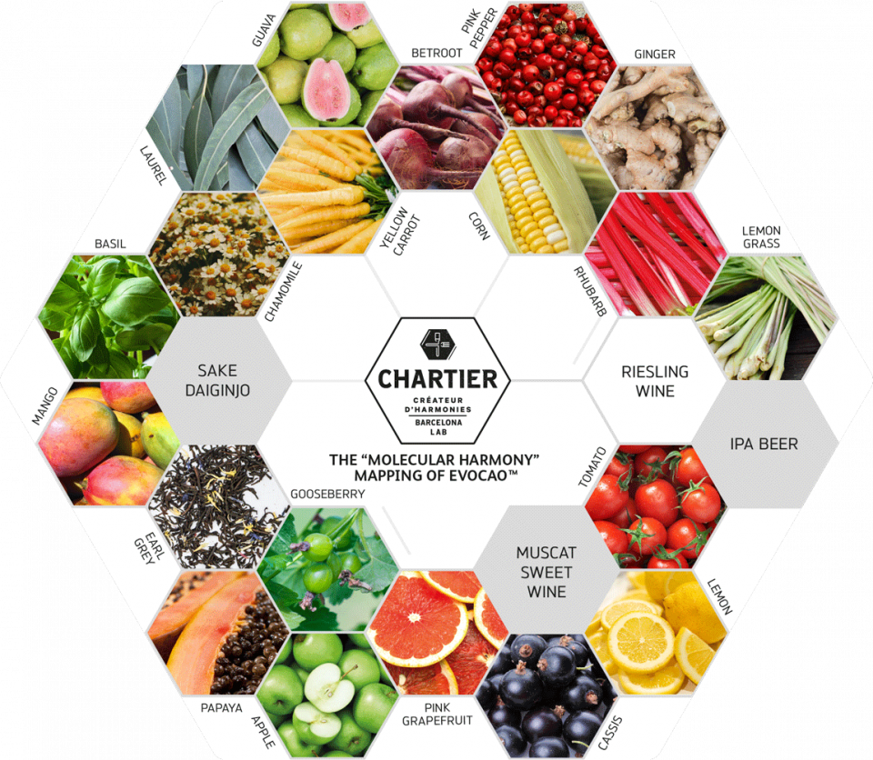 WholeFruit Evocao™のペアリングマップ