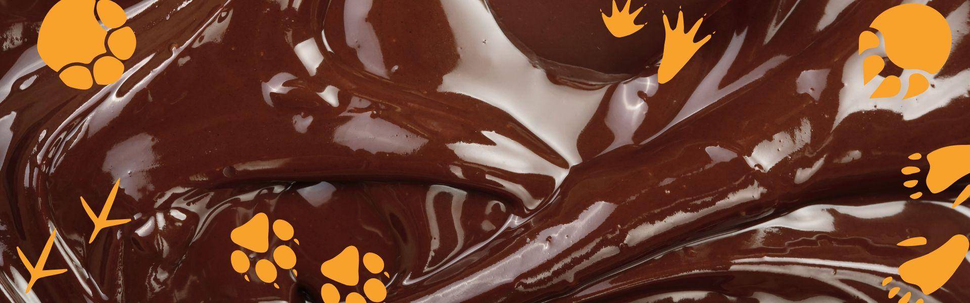 tirage au sort moule fritures cacao barry chocolat pâques 2026