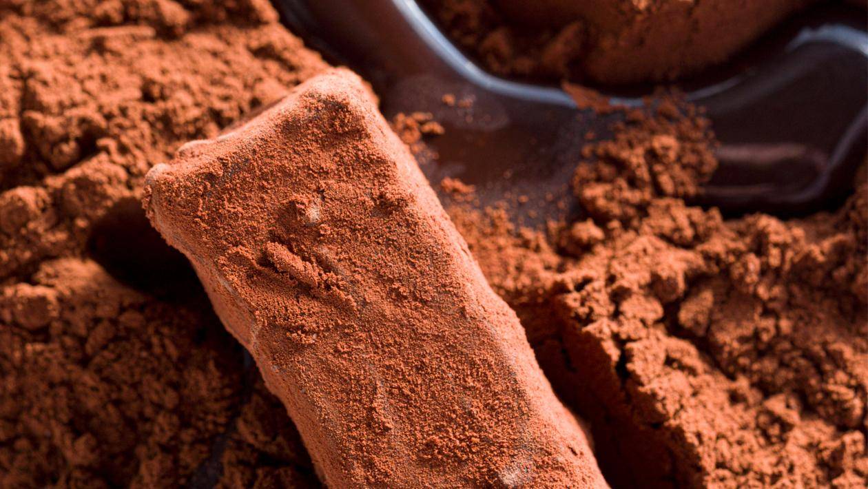 Cacao Powder 