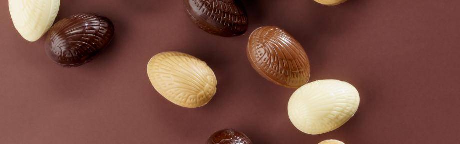 product catalogue cacao barry