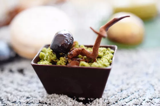 Hideko Kawa presents her Chocolate Bonsai