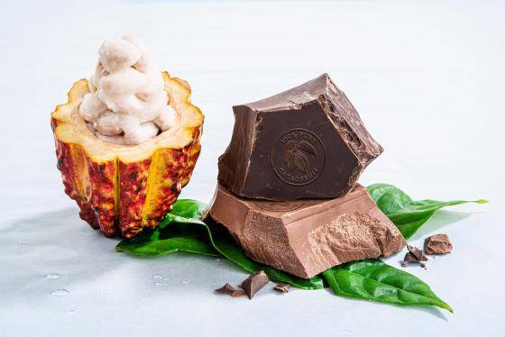 Cacao Barry innovations