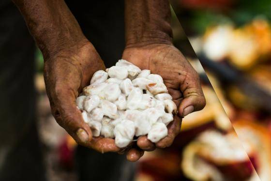 Pureté - Pure taste, pure creativity