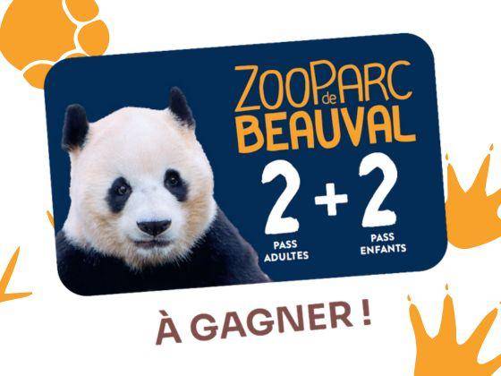 cacao barry jeu concours paques 2026 chocolat friture jungle