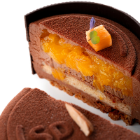 carnet recette chocolats d'origine cacao barry